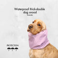 Load image into Gallery viewer, Ūdensizturīga suņu šalle (snood) | Lavender
