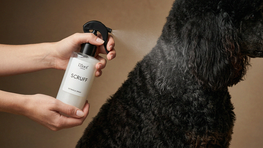 L’floof sprejs kažoka atšķetināšanai ar apelsīnu un ciedrkoku - 250ml