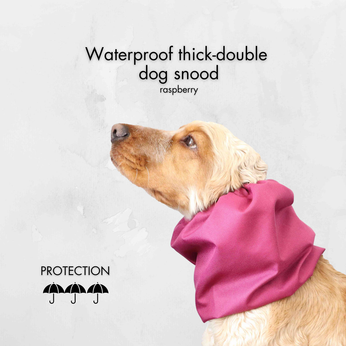 Ūdensizturīga suņu šalle (snood) | Raspberry