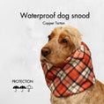 Load image into Gallery viewer, Ūdensizturīga suņu šalle (snood) | Copper Tartan
