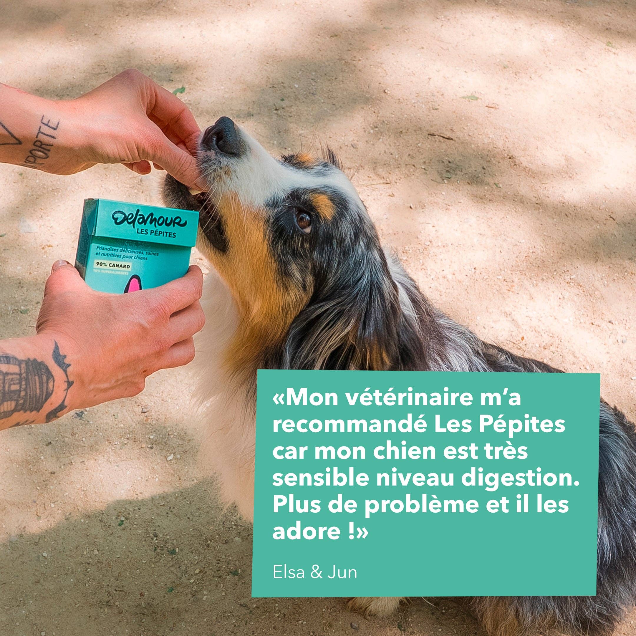 Les Pépites - žāvētas pīles gaļas (75g)