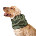 Load image into Gallery viewer, Ūdensizturīga suņu šalle (snood) | Olive Green
