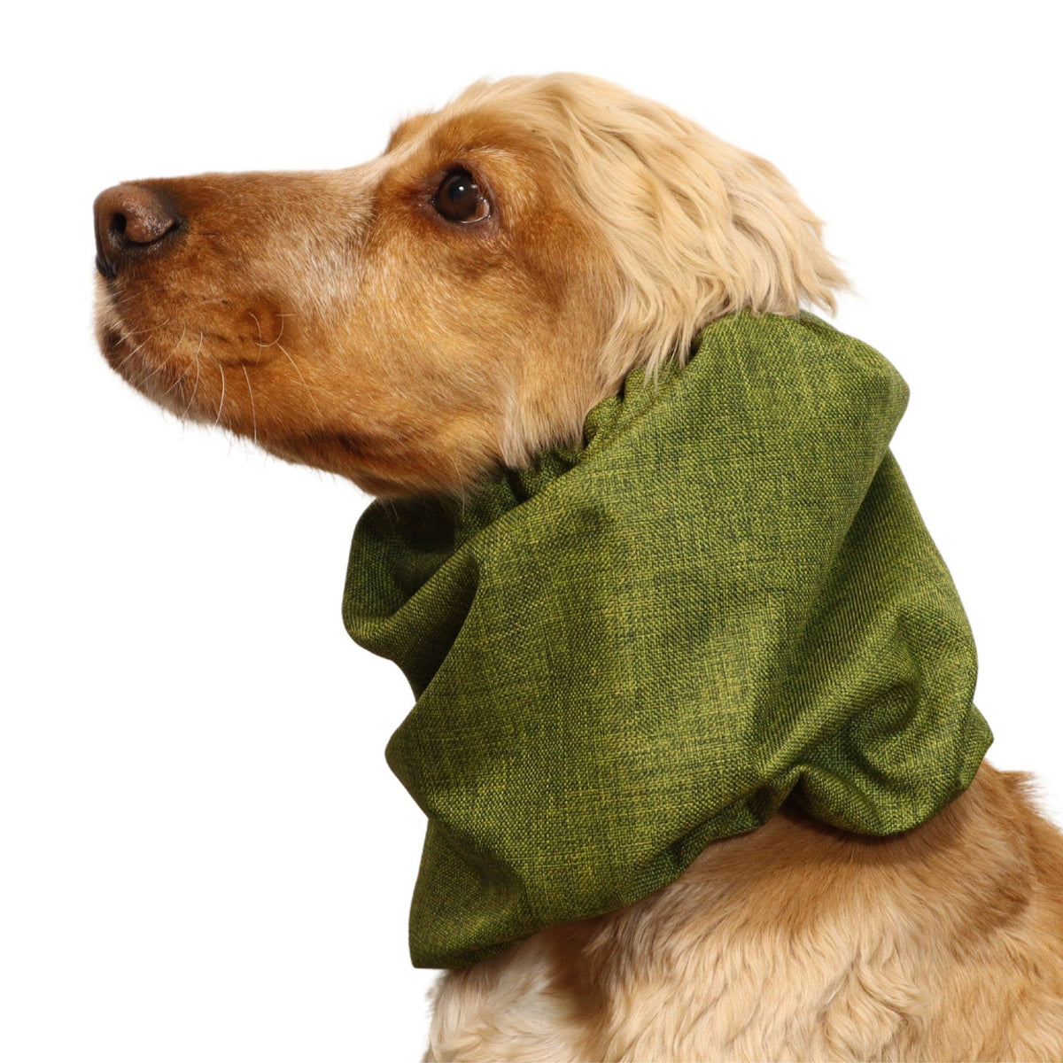 Ūdensizturīga suņu šalle (snood) | Jeans Green