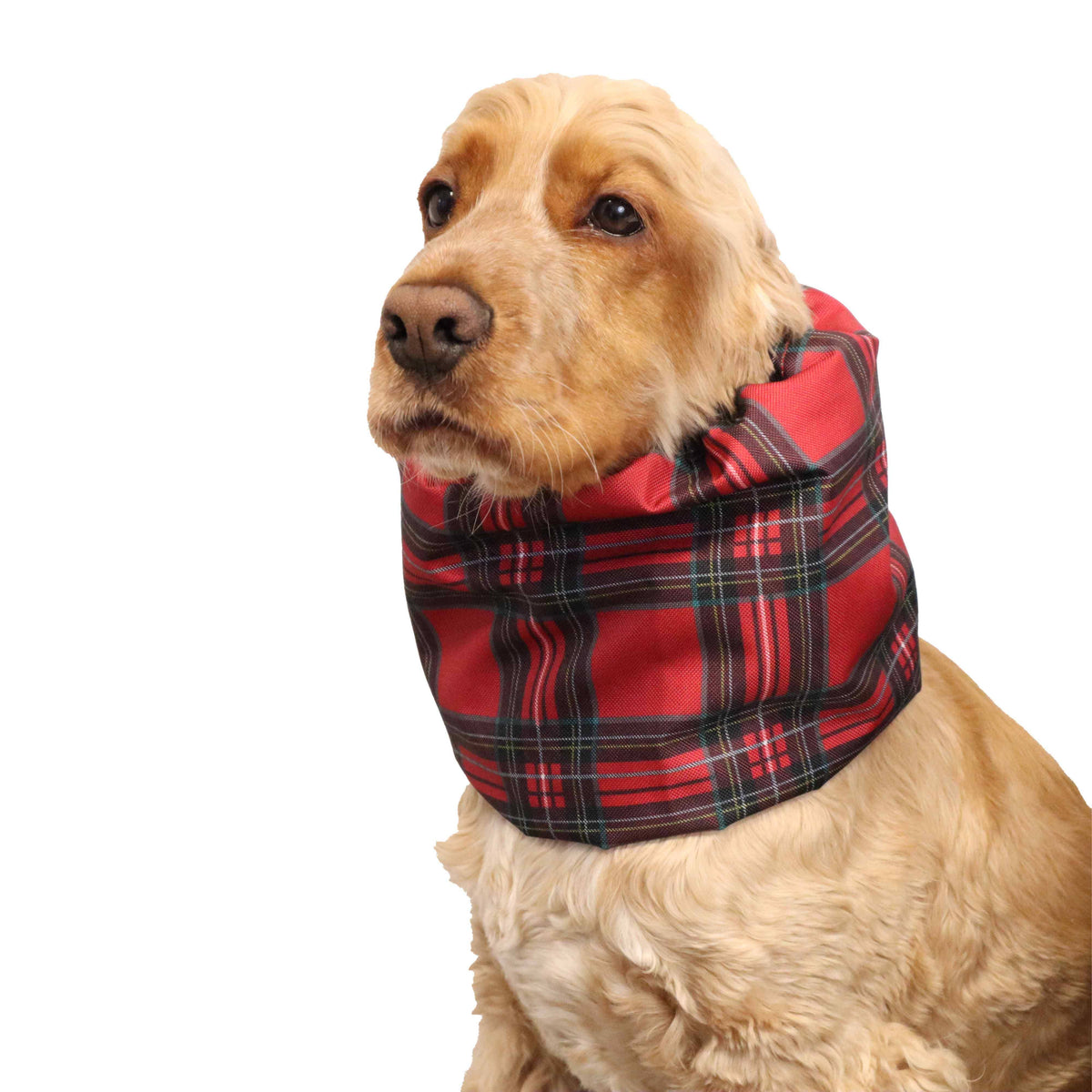 Ūdensizturīga suņu šalle (snood) | Red Tartan