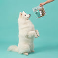 Load image into Gallery viewer, FOREVER FOOD - PILNVĒRTĪGA ŽĀVĒTA BARĪBA SUŅIEM AR ZIVĪM (1 KG)
