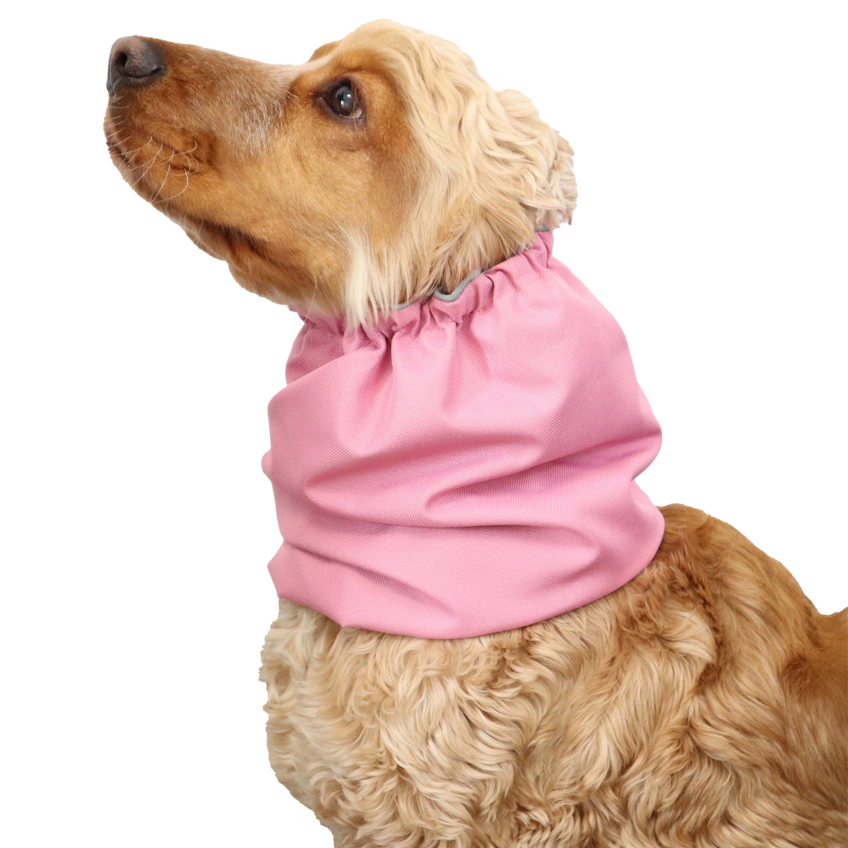 Ūdensizturīga suņu šalle (snood) | Pastel Pink