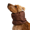 Load image into Gallery viewer, Ūdensizturīga suņu šalle (snood) | Chocolate
