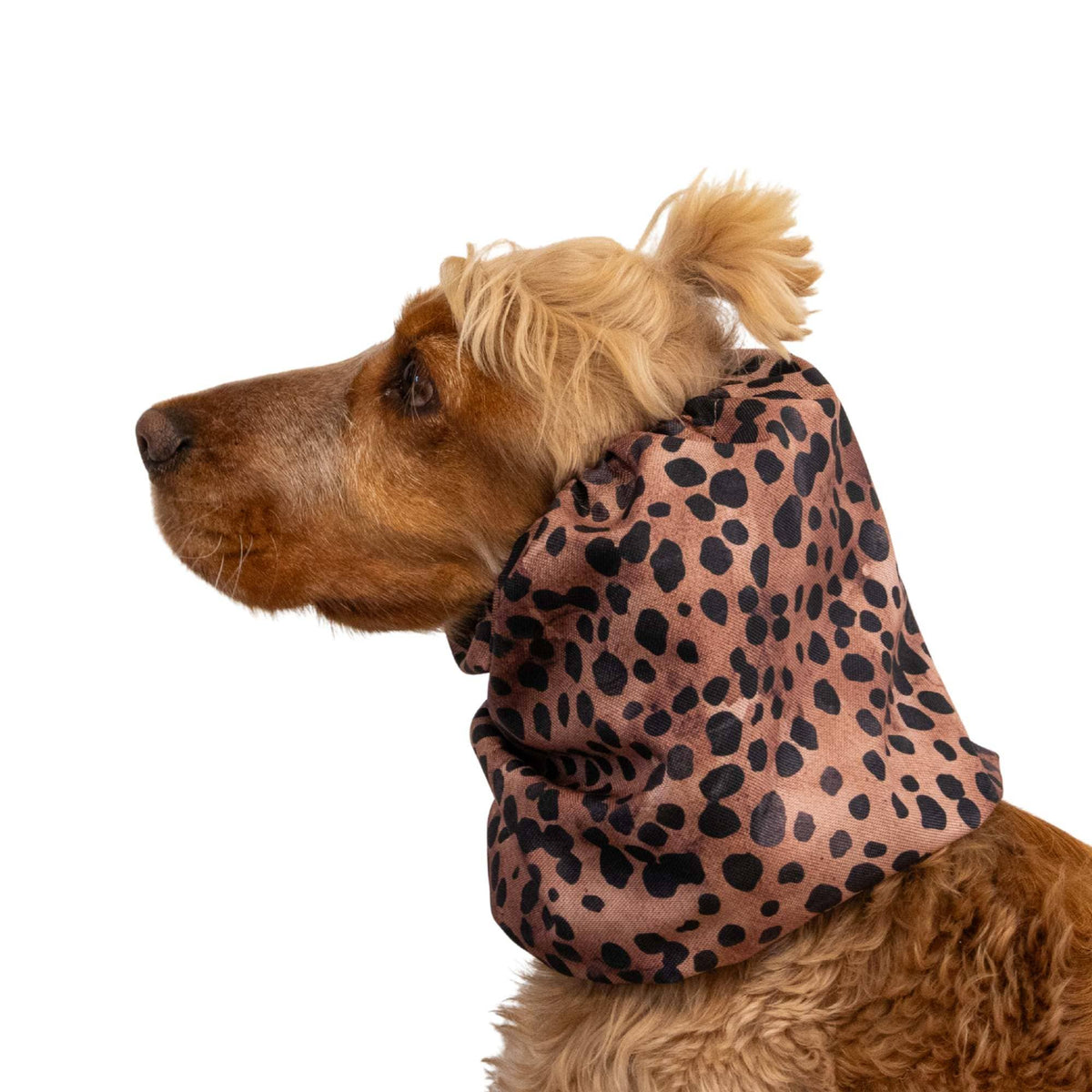 Ūdensizturīga suņu šalle (snood) | Soft Leopard