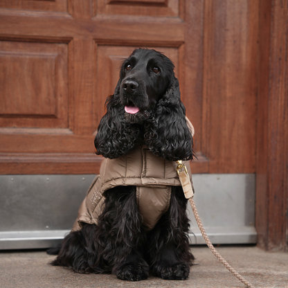 Nora suņu mētelītis | Taupe: XXS