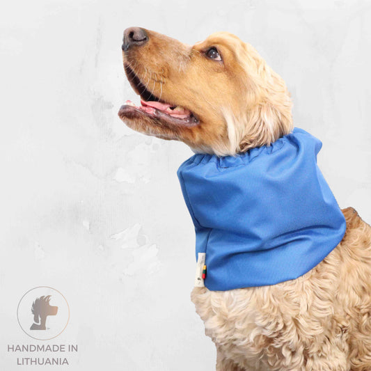 Ūdensizturīga suņu šalle (snood) | Blue