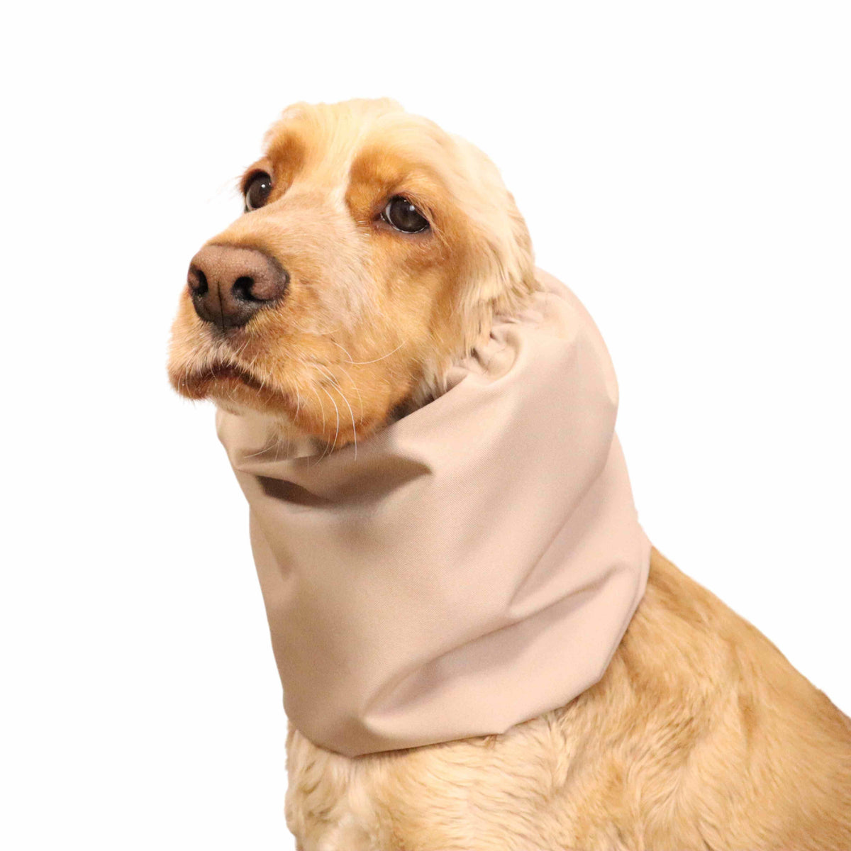 Ūdensizturīga suņu šalle (snood) | Cream