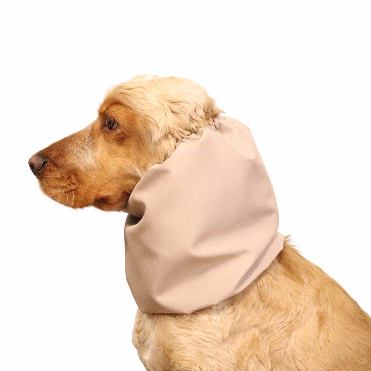 Ūdensizturīga suņu šalle (snood) | Cream