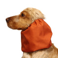 Load image into Gallery viewer, Ūdensizturīga suņu šalle (snood) | Burnt Orange
