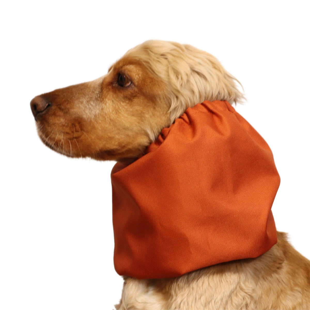 Ūdensizturīga suņu šalle (snood) | Burnt Orange
