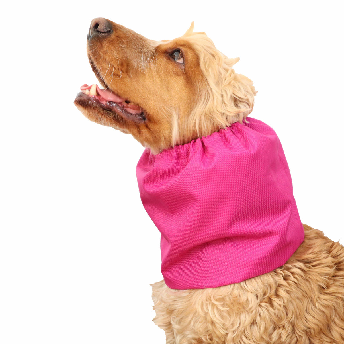 Ūdensizturīga suņu šalle (snood) | Dark Pink