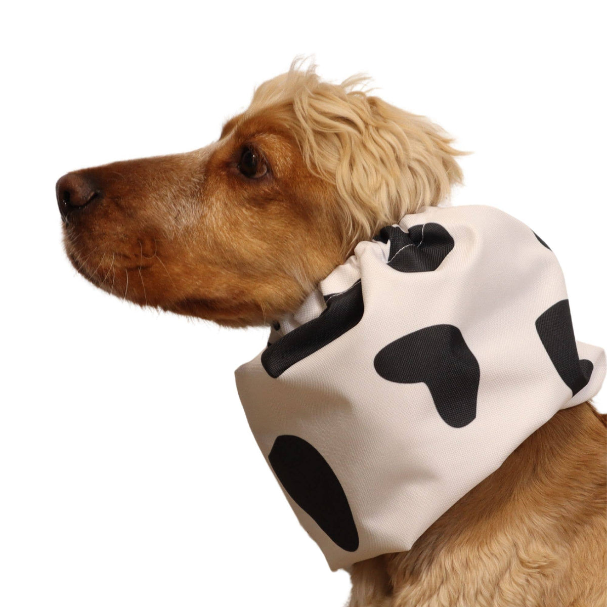 Ūdensizturīga suņu šalle (snood) | MOOOOOO