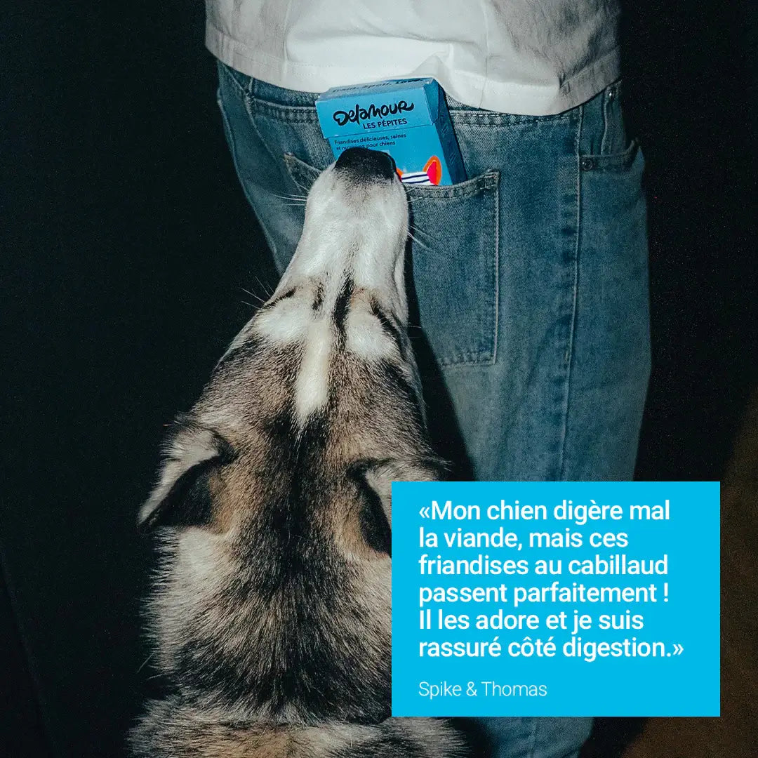 Les Pépites - žāvētas mencas uzkoda (50g)