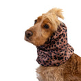 Load image into Gallery viewer, Ūdensizturīga suņu šalle (snood) | Soft Leopard

