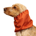 Load image into Gallery viewer, Ūdensizturīga suņu šalle (snood) | Jeans Burnt Orange
