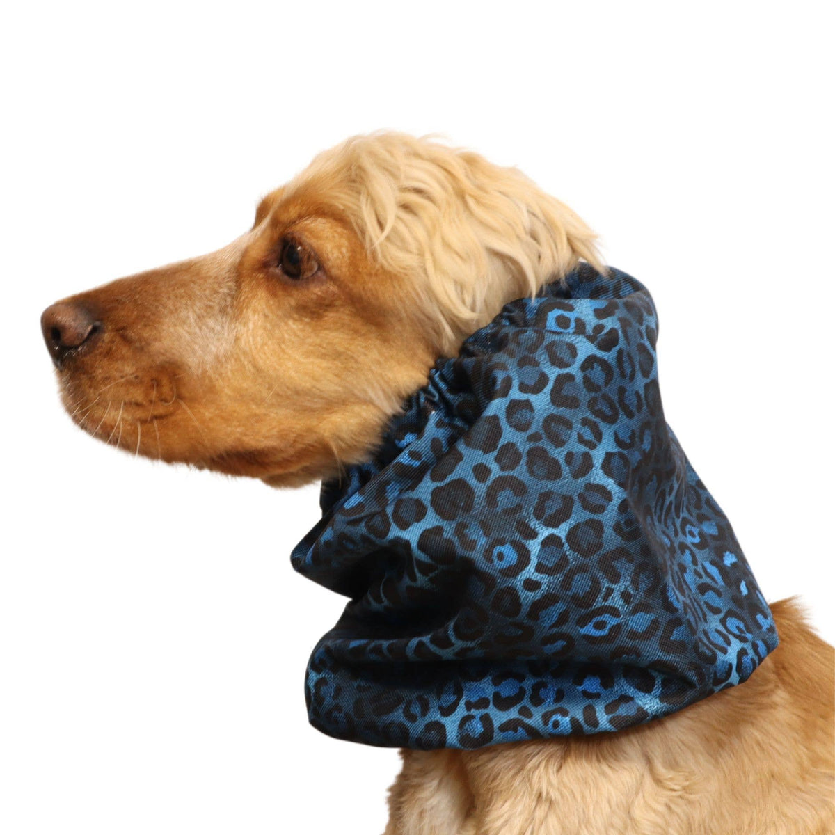 Ūdensizturīga suņu šalle (snood) | Royal Cheetah