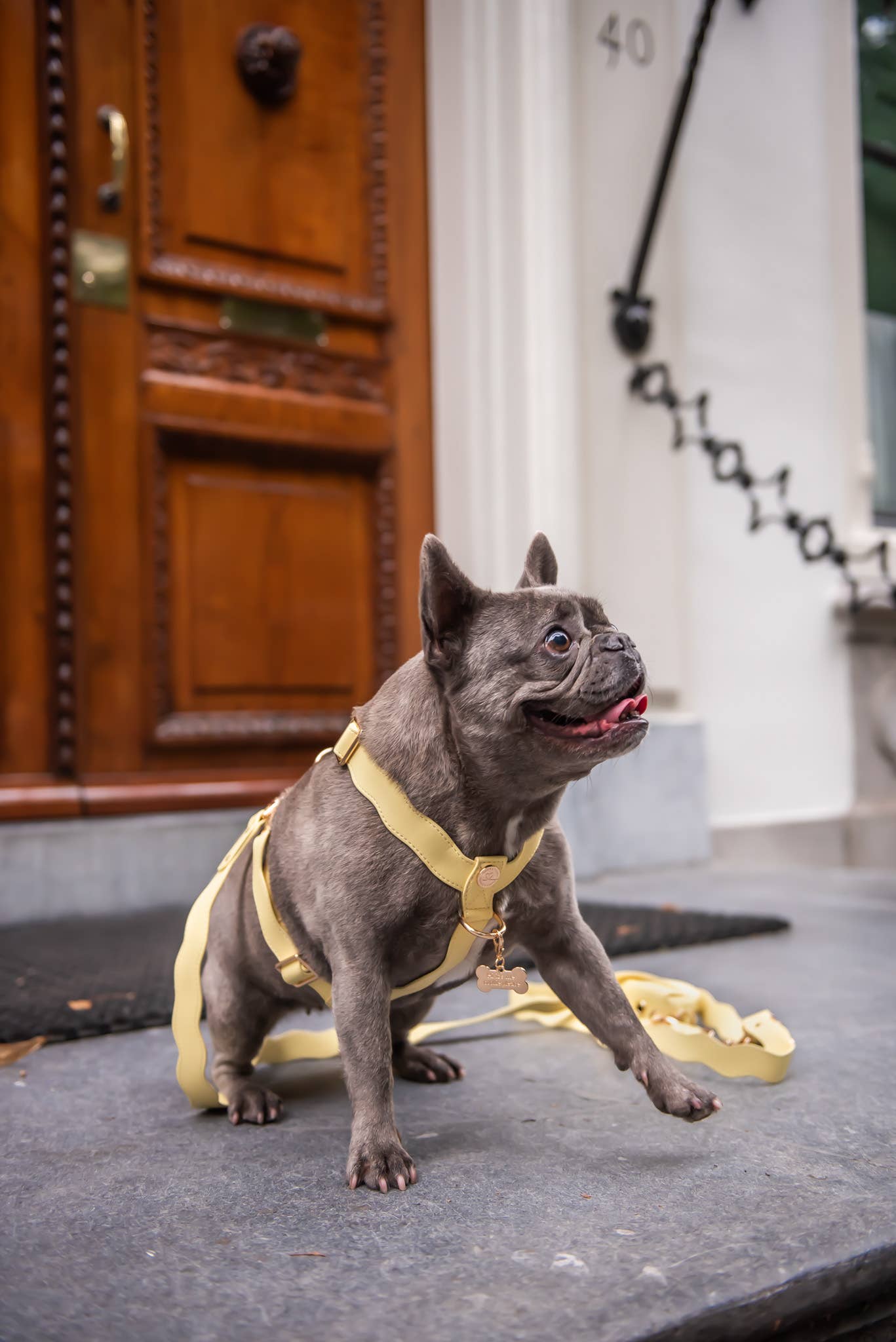 Golvend Lilo iemaukti - pasteļdzelteni