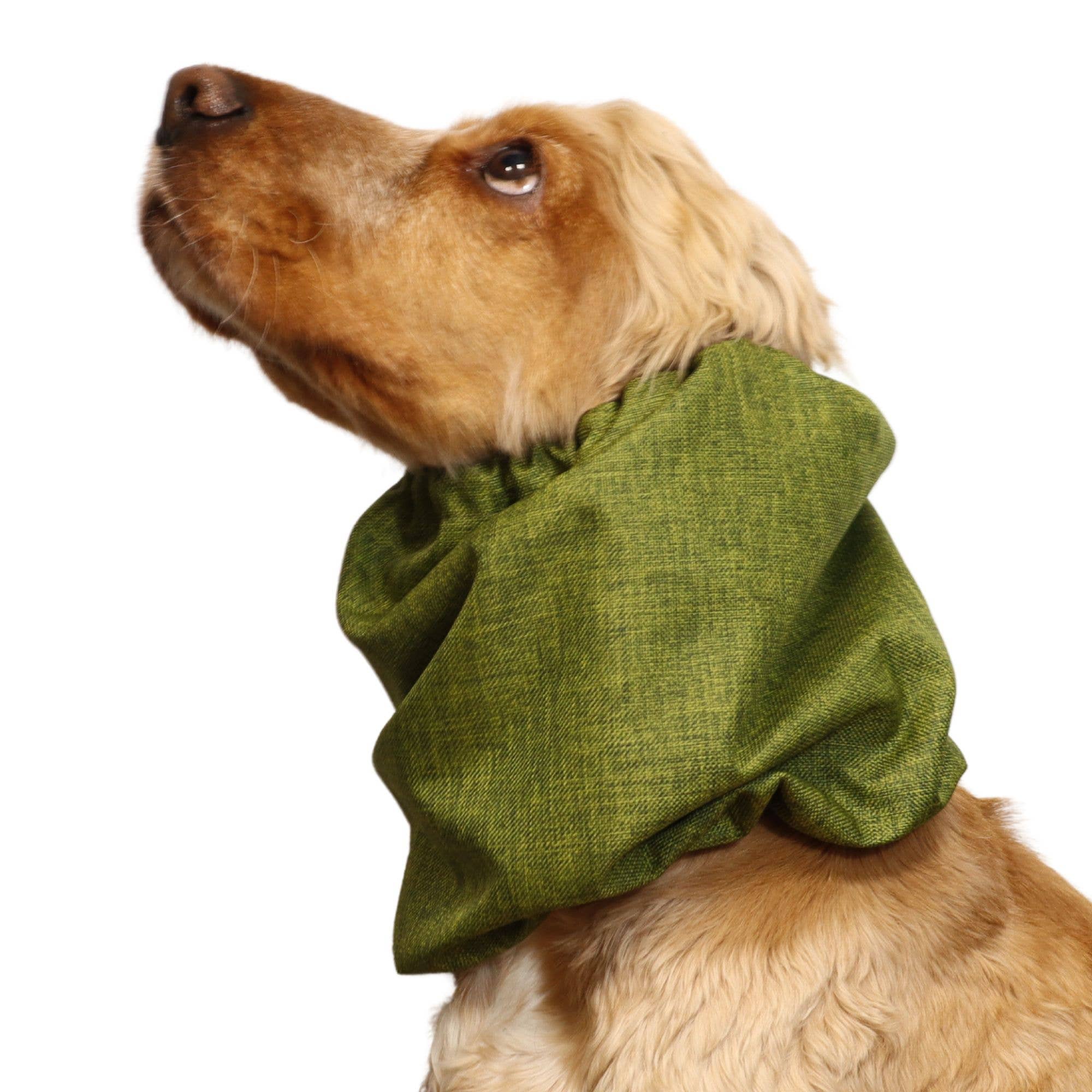 Ūdensizturīga suņu šalle | &nbsp;Jeans Green: Regulējams spriegojums /