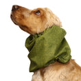 Load image into Gallery viewer, Ūdensizturīga suņu šalle (snood) | Jeans Green

