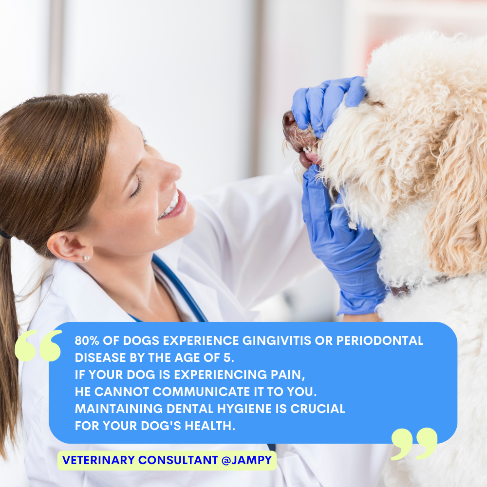 Kiss Me - Dabīgs zobu aerosols cīņai pret halitozi suņiem