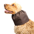 Load image into Gallery viewer, Ūdensizturīga suņu šalle (snood) | Brown
