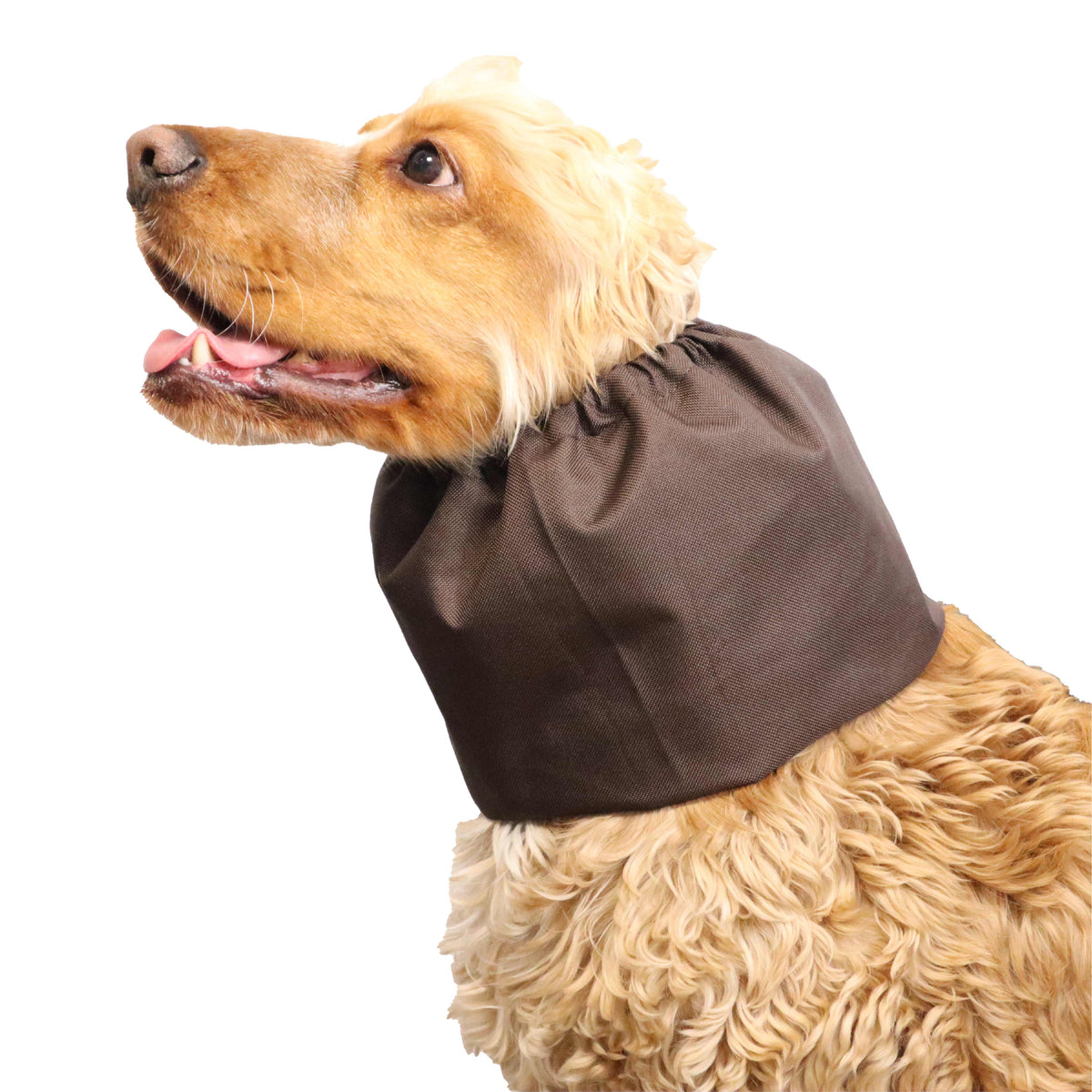 Ūdensizturīga suņu šalle (snood) | Brown