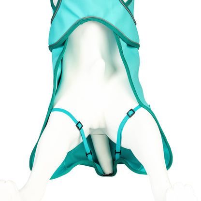 Lietusmētelis suņiem - Matrix 2.0 Turquoise: M