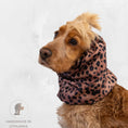 Load image into Gallery viewer, Ūdensizturīga suņu šalle (snood) | Soft Leopard
