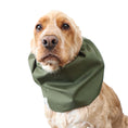 Load image into Gallery viewer, Ūdensizturīga suņu šalle (snood) | Olive Green

