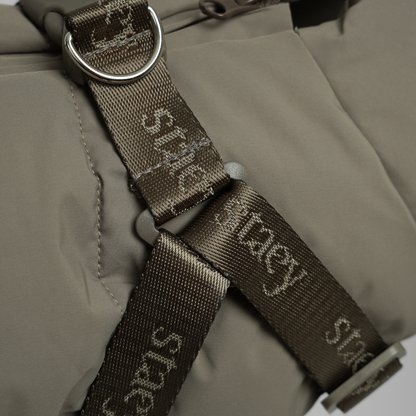 Vera suņu mētelītis ar iemauktiem | Sage: XXS