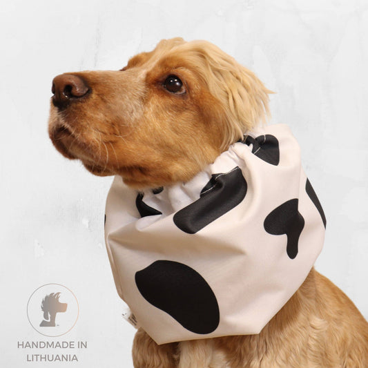 Ūdensizturīga suņu šalle (snood) | MOOOOOO