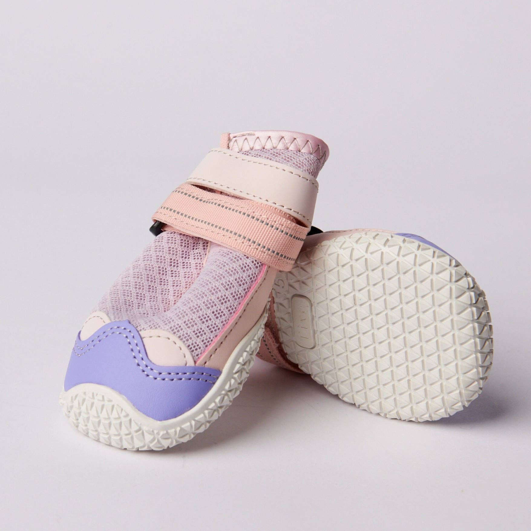 Suņu zābaciņi - Rozā violeti