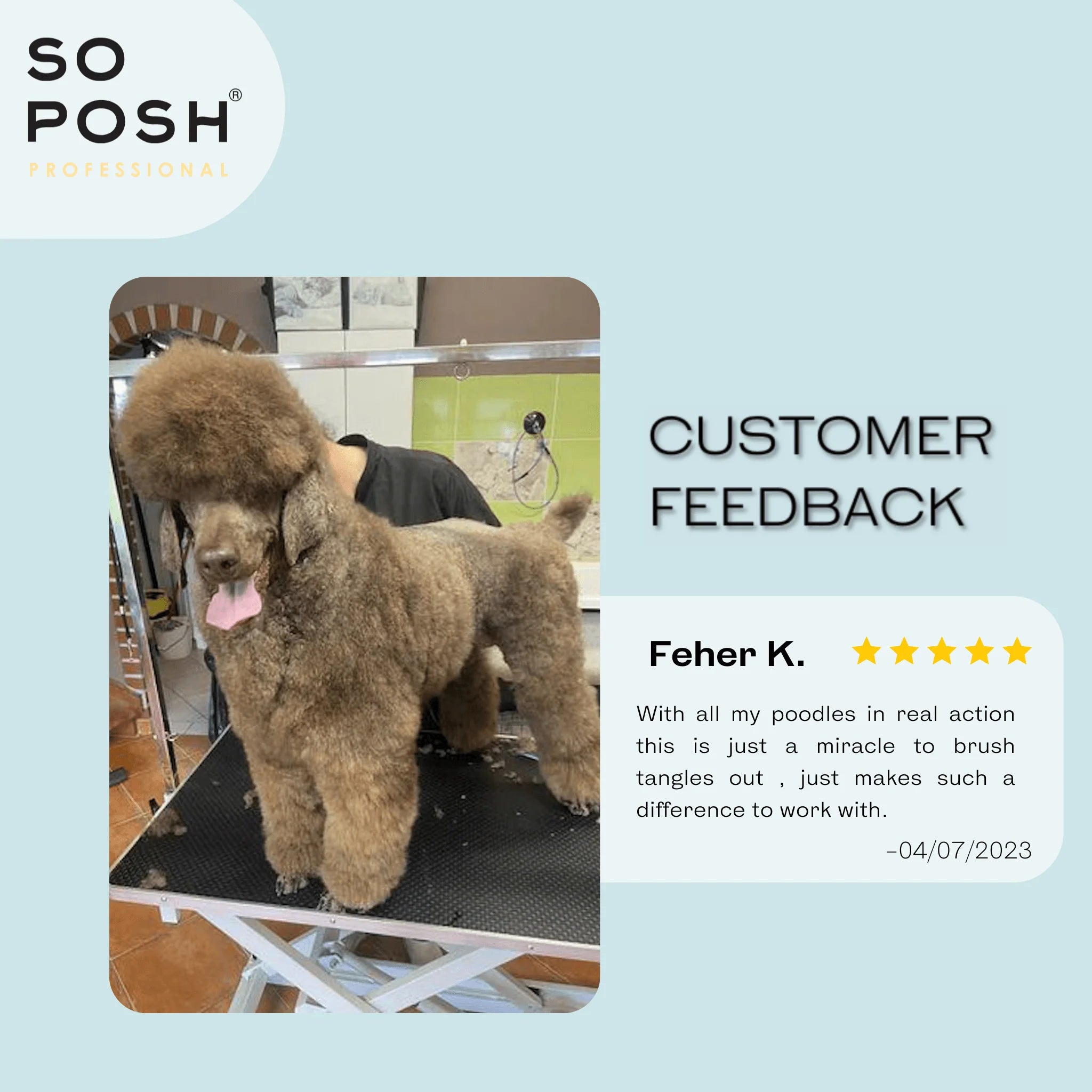 So Posh Tangle free Savēlumu atšķetināšanas sprejs