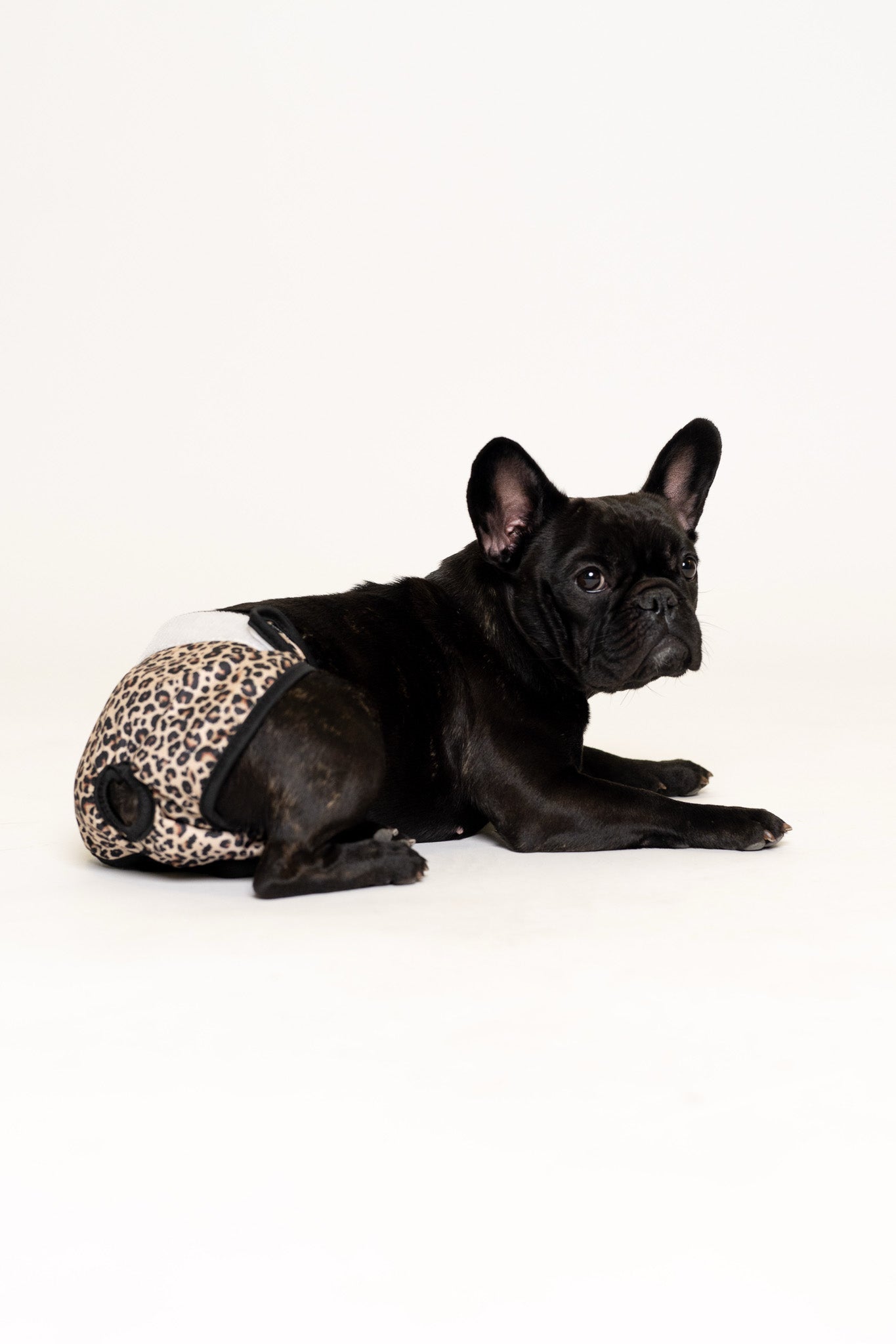 Īpašo dienu biksītes - leoparda