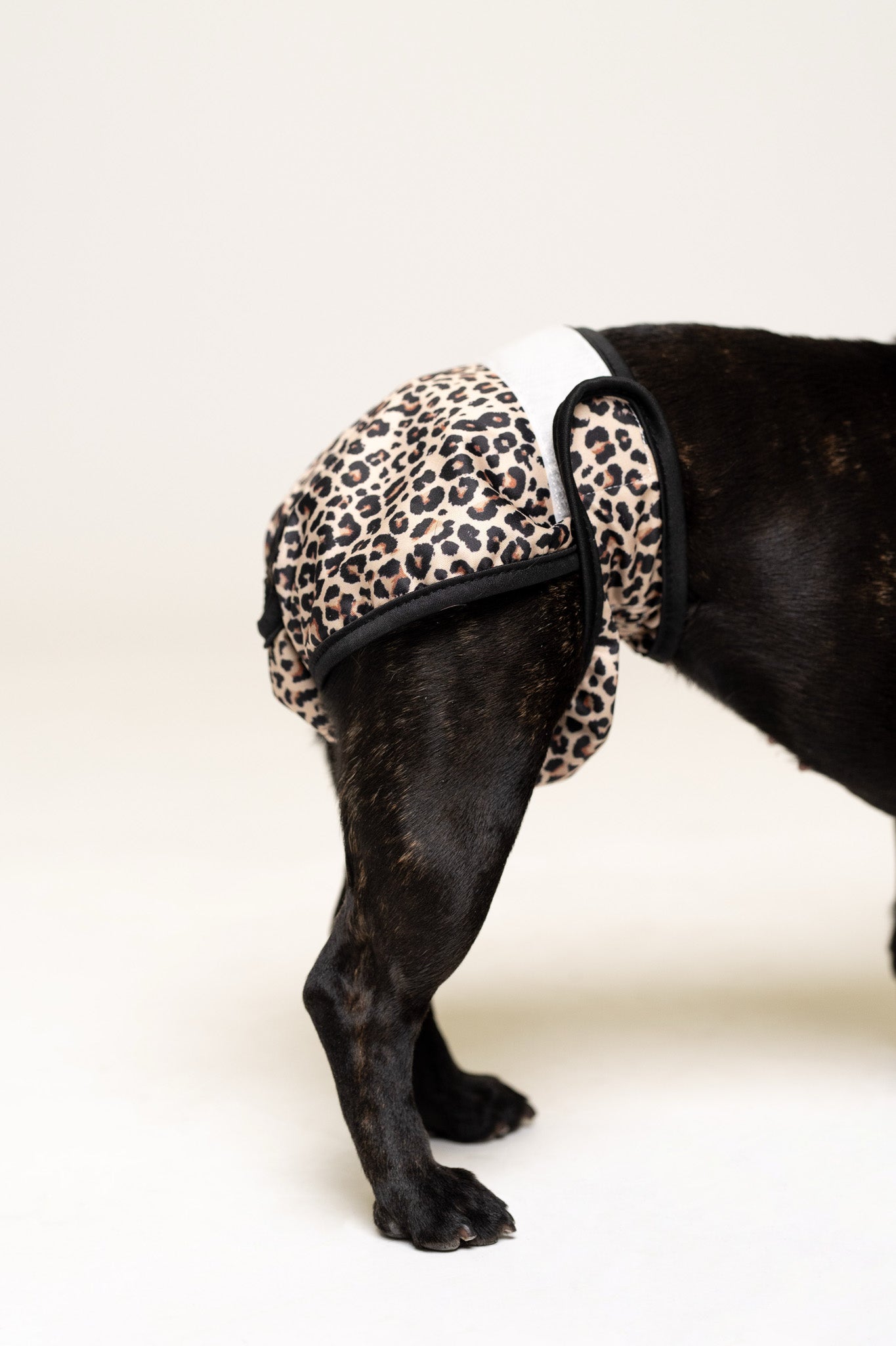 Īpašo dienu biksītes - leoparda