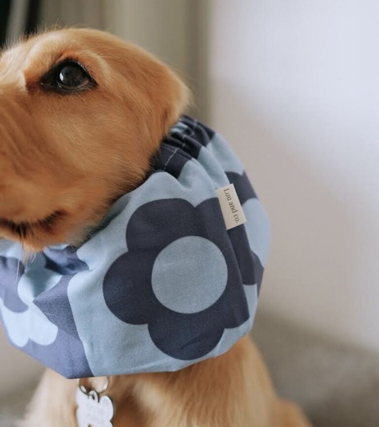 Suņu šalle ''Blue flowers''