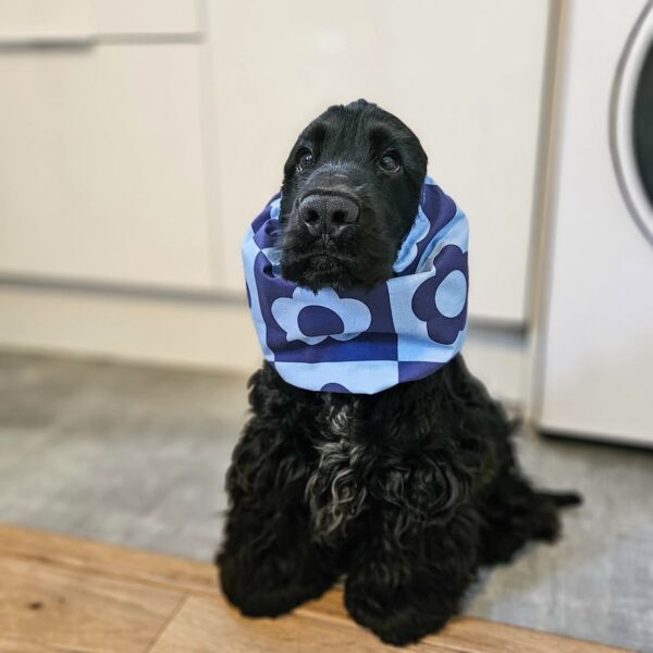 Suņu šalle ''Blue flowers''