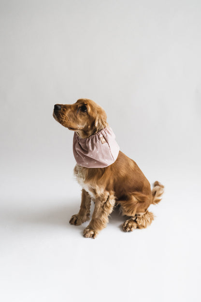 Suņu šalle ''Dusty Pink''