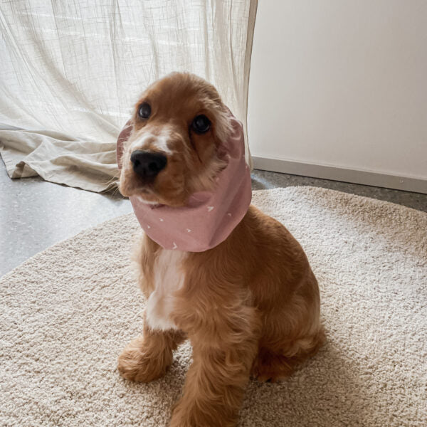 Suņu šalle ''Dusty Pink''