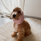 Suņu šalle ''Dusty Pink''