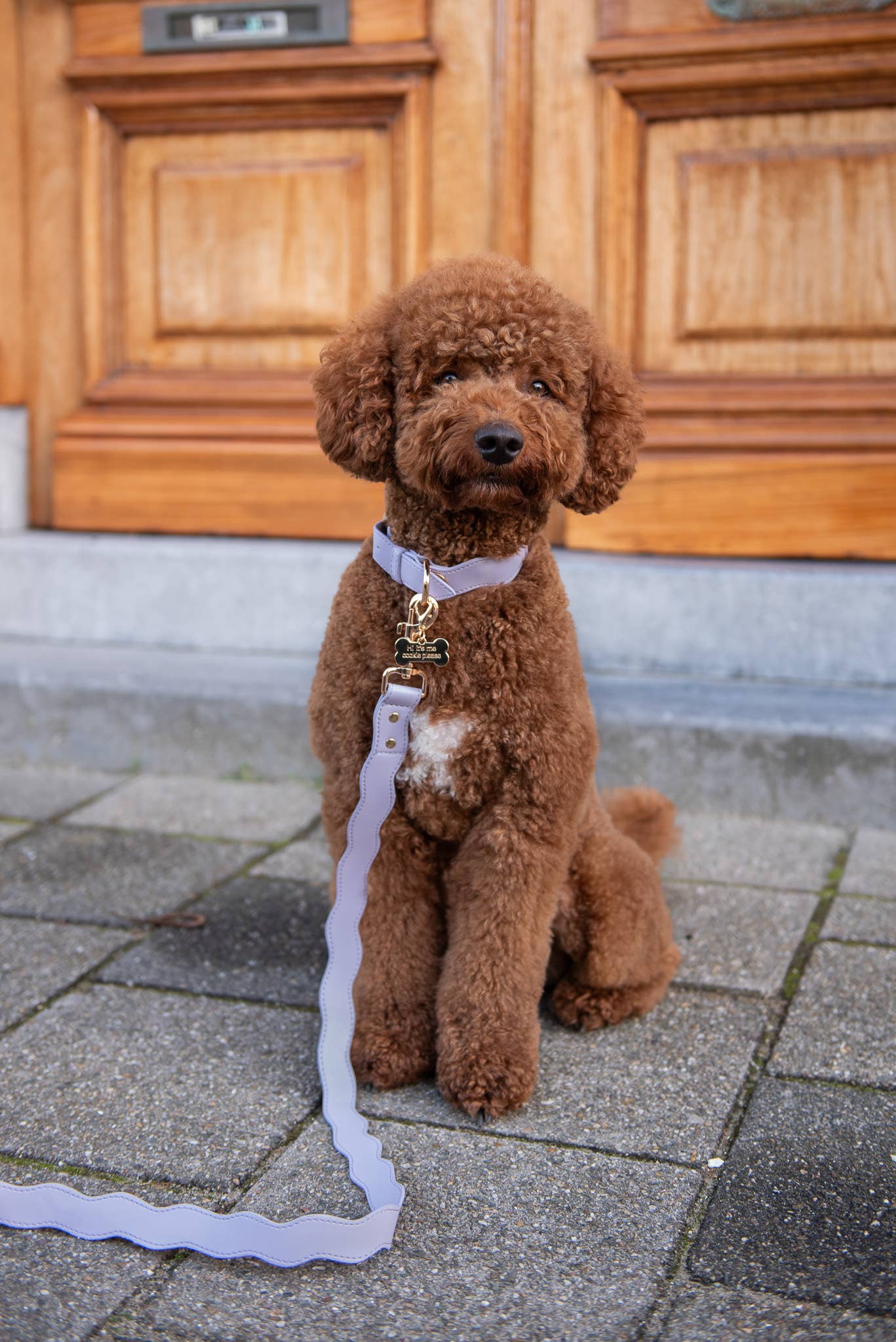 Wavy Maggy kakla siksna - ceriņkrāsa